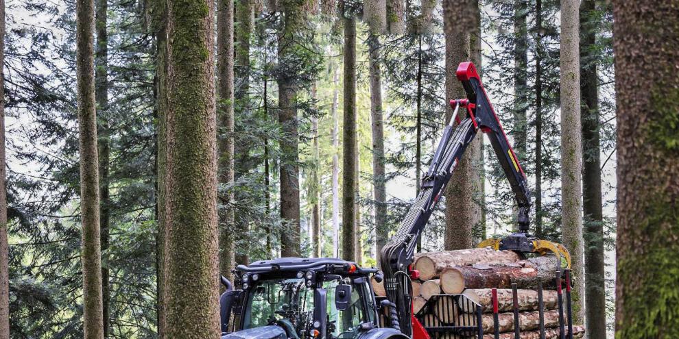 Ein Rückewagen von Horsch Pirk Forestry. PIRK will die Forsttechnik künftig eigenständig weiterführen. Horsch konzentriert sich wieder auf Landmaschinen.
