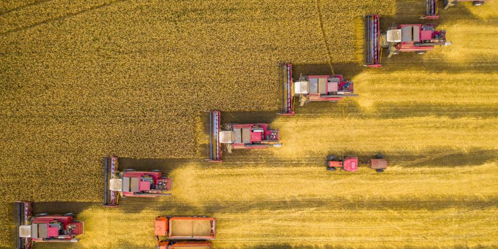 Nach der Ernte ist vor der Ernte. Und da haben Russlands Landwirte ein Problem.
