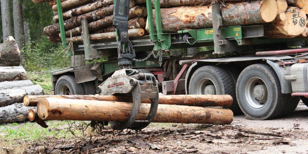 Holzpreise-Holzhandel-AdobeStock_154606701