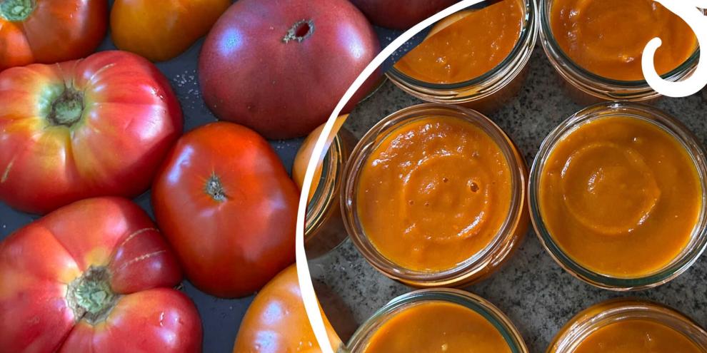 Fleischtomaten lassen sich perfekt zu Sugo für den Vorrat einkochen.