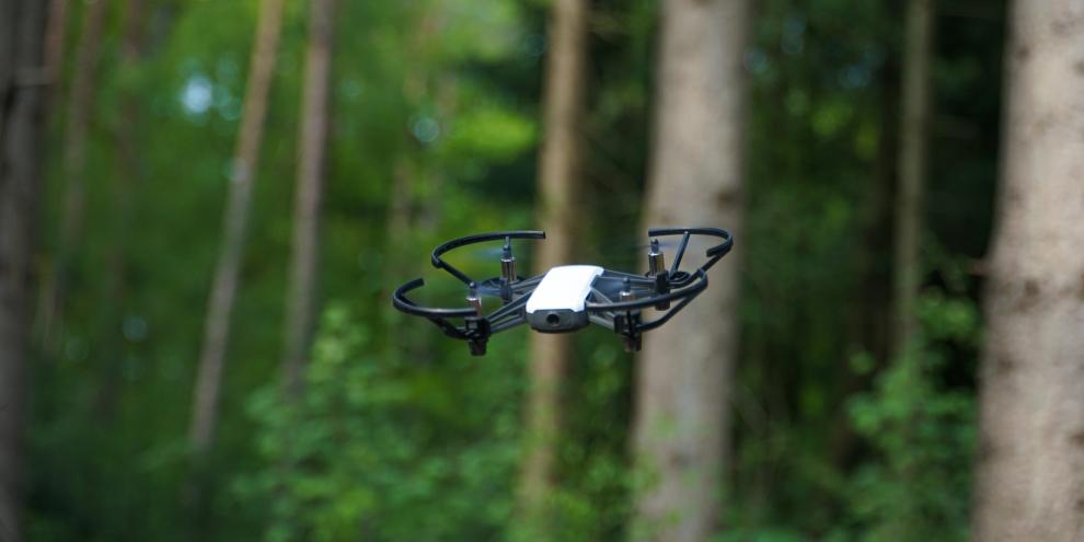 In NRW suchen Drohnen den Wald nach geeigneten Saatplätzen ab. (Symbolbild)