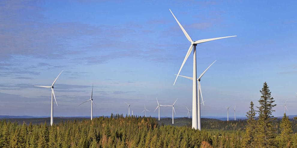 Windkraftprojekte im Wald sind rund 10 bis 15 Prozent teurer als an Standorten im Offenland.