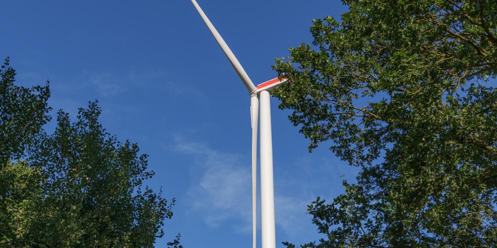 Wo Windkraft und Wald aufeinander treffen, kommt es regelmäßig zu Konflikten.