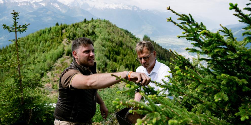 Braumeister Axel Kiesbye (r.) und ÖBf-Revierleiter Franz Gruber bei der Ernte der Waldbier-Zutaten