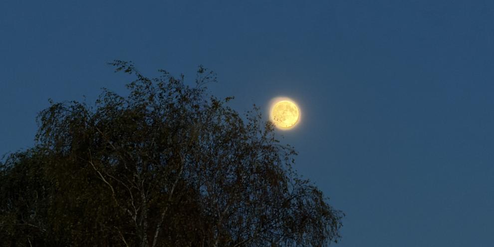 Der sogenannte Erntemond gehört zu den markanten Himmelserscheinungen rund um den Herbstanfang.