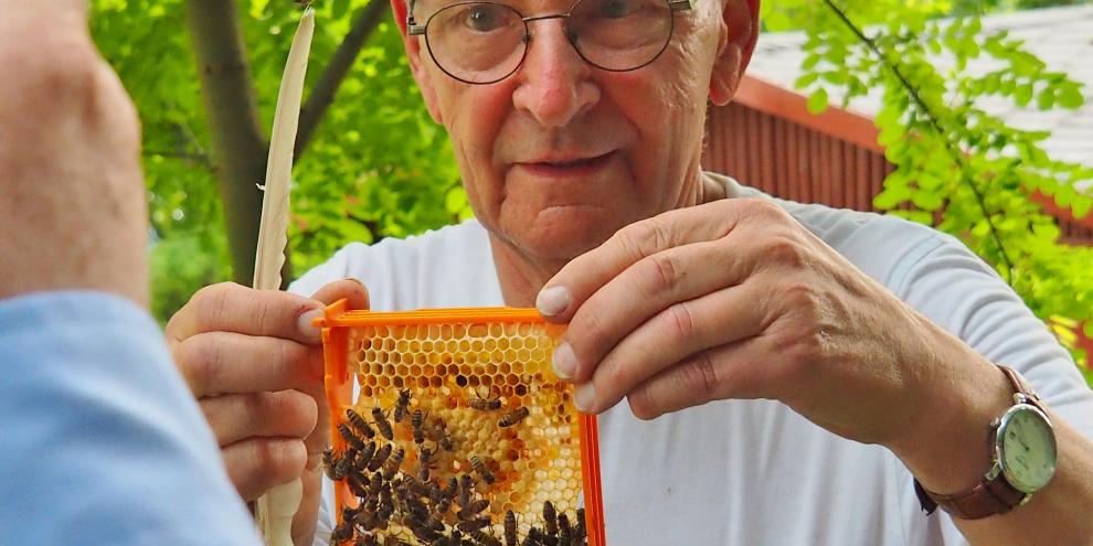 Rolf Schülbe imkert seit über 60 Jahren. Den Schlüssel für eine erfolgreiche Überwinterung sieht er in der Königinnenzucht.