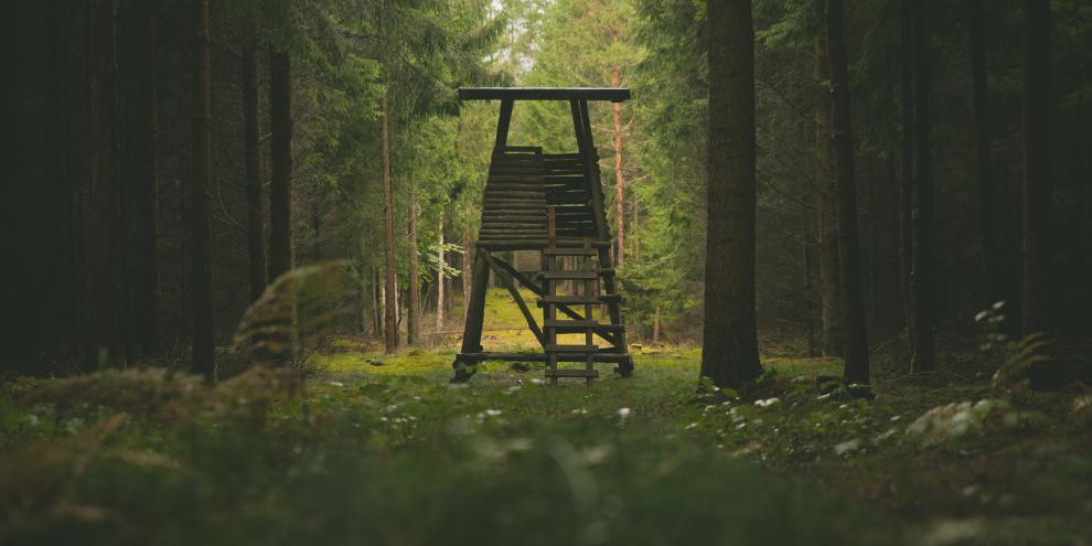 Am Amtsgericht Ludwigslust-Parchim hat heute ein Prozess gegen einen Jäger begonnen.