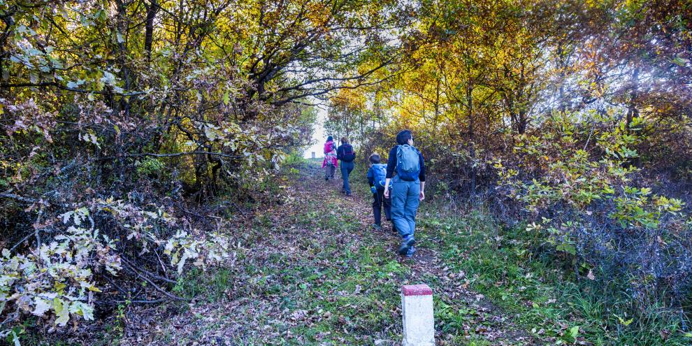 Eine Wildkamera filmte in Litauen 27 Menschen beim illegalen Grenzübertritt. Die Jägerschaft informierte umgehend den Grenzschutz (Symbolbild).