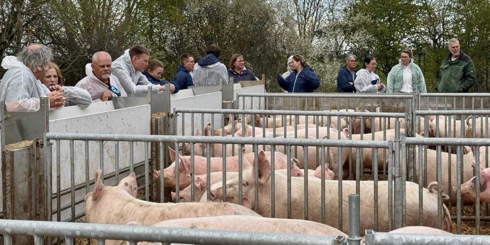 Die diesjährige Kohorte besuchte unter anderem die Biosauenhof Dannenbring.