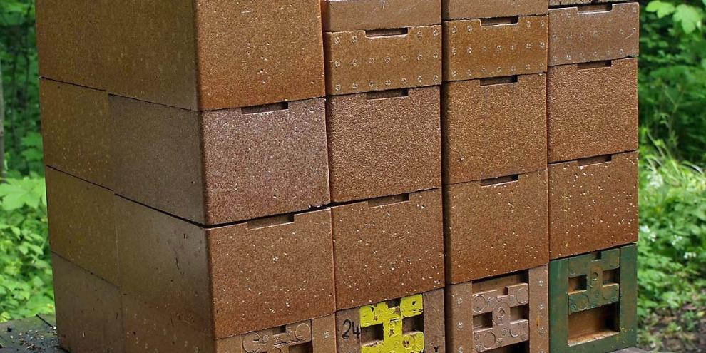 Begattungseinheiten im Apidea oder MiniPlus müssen nicht zwangsläufig zum Herbst aufgelöst werden. Mit etwas Vorbereitung lassen sie sich auch überwintern.