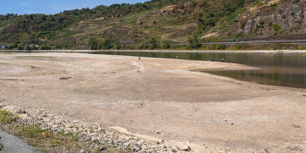 Niedrigewasser-Rhein-AdobeStock_2158959552