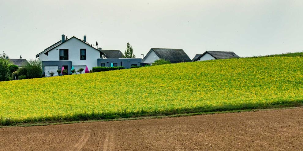 Siedlung-Ortsrand-AdobeStock_2173168688
