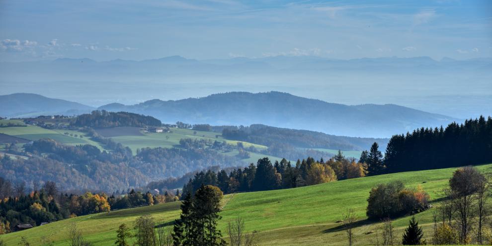 Ein Jäger in Österreich wurde über Nacht vermisst, da er sich im Wald verlief (Symbolbild).