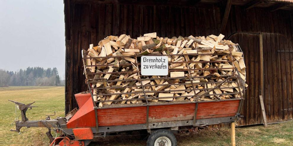 In der EU-Kommission ist eine Obergrenze für Brennholz im Gespräch.