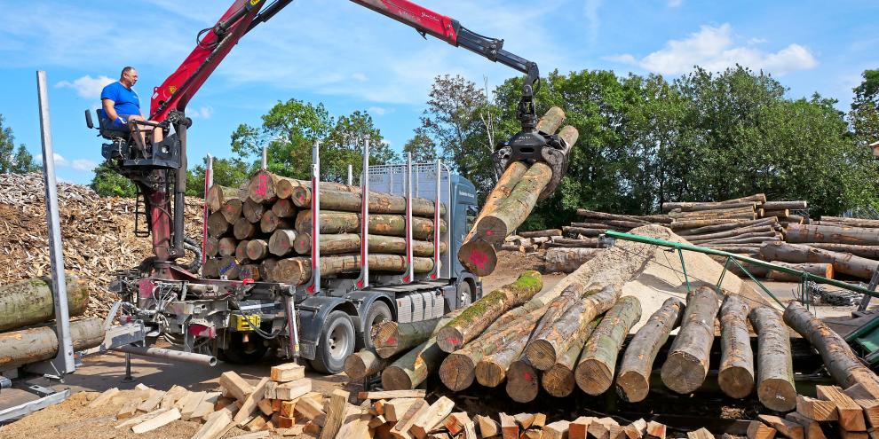 Bei der Firma Kleinheinz nutzen fast 60 Holz-Lkw das System Timber Flow.