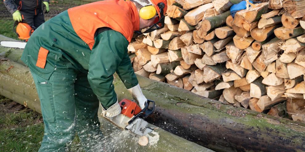 Holz-Waldarbeiten-AdobeStock_337420735