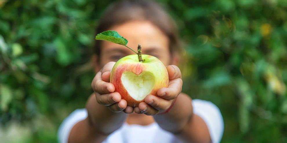 AdobeStock_464069827