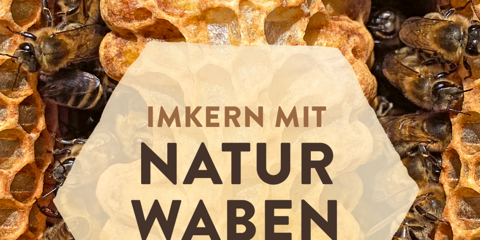 Imkern mit Naturwabenbau, Undine Westphal, Verlag Eugen Ulmer, 160 Seiten, ISBN: 978-3-8186-2600-6, Preis: 28 Euro