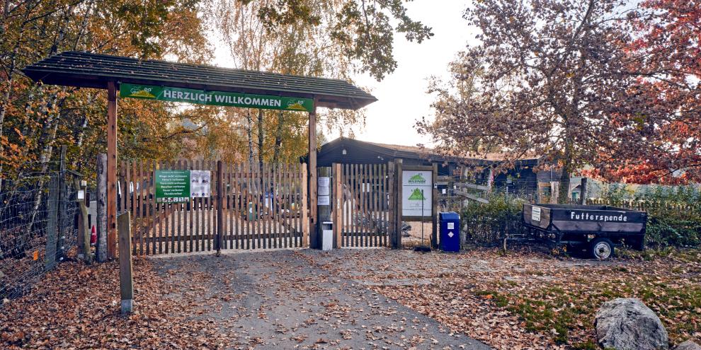 Im Tierpark Johannismühle kam es am 28. Oktober zu einem Wolfsangriff auf ein achtjähriges Mädchen.