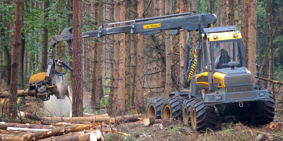 Der Einsatzbereich eines Harvesterarms ist groß – aber nicht unbegrenzt.