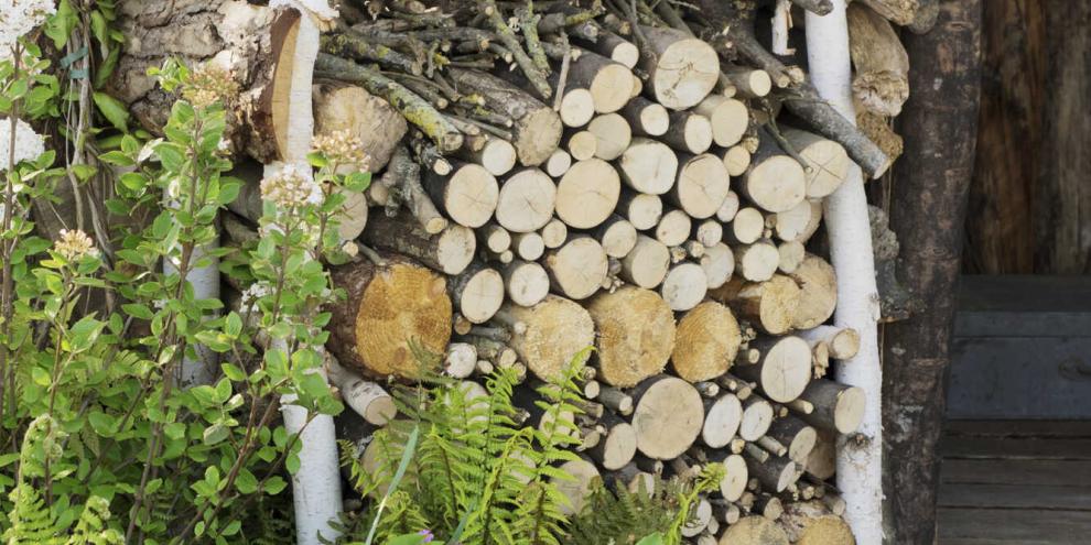 Ein selbstgebautes Holz-lager aus Birkenstämmen mit Seitenwänden und Dach aus Brettern samt Rinde schützt Hölzer.