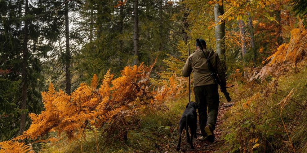 Jäger-Wald-AdobeStock_671483670