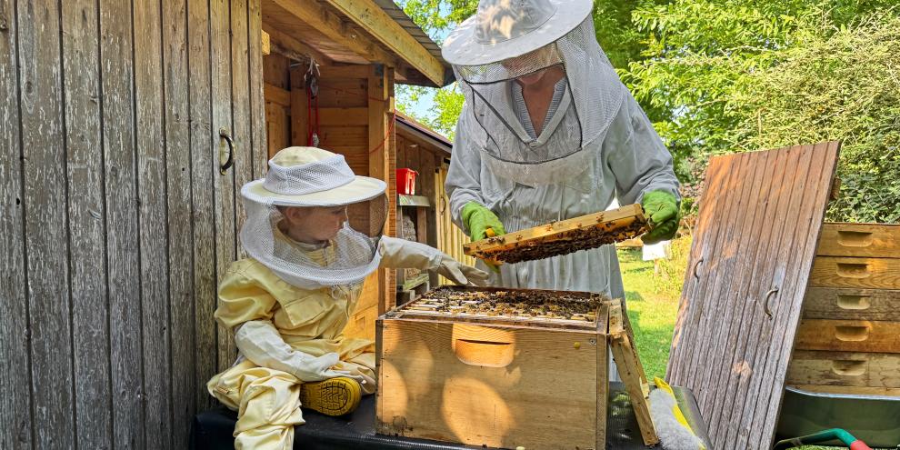 Auch bei sanftmütigen Bienen steht die Sicherheit des Nachwuchses am Bienenstand an erster Stelle.