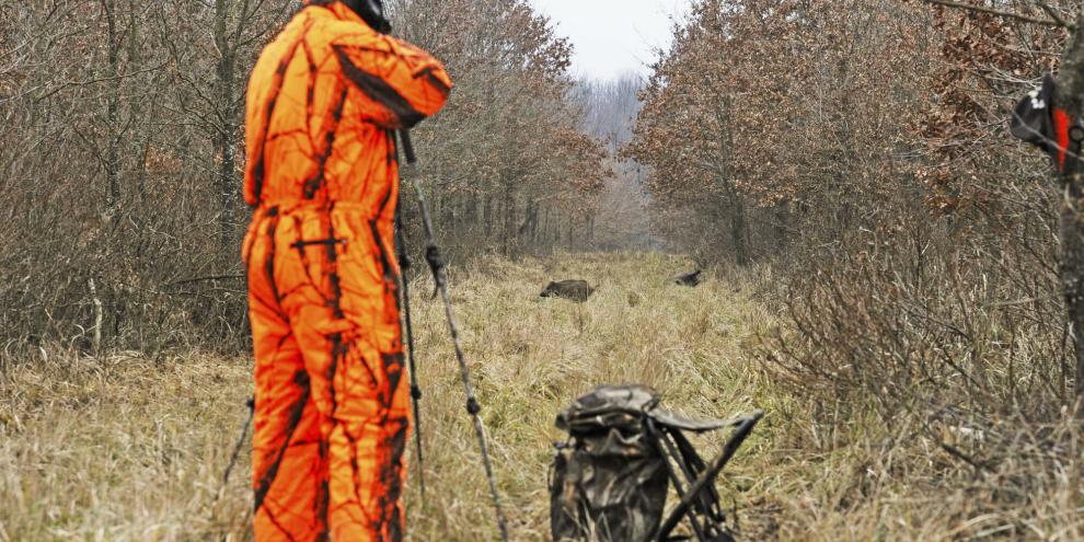 Bei der Drückjagd müssen oft in Sekundenschnelle richtige Entscheidungen getroffen werden.