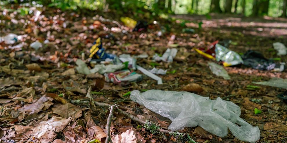 Wie viel Mikroplastik steckt wirklich im Waldboden? Das wollen Wissenschaftler nun mithilfe von Bodenproben herausfinden. Erste Ergebnisse seien jedoch "schockierend".