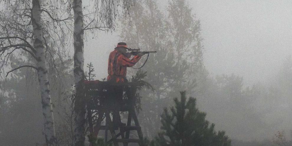 Widrige Wetterverhältnisse und schlechte Sicht sollten bei Drückjagden zu denken geben.