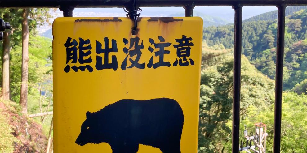 In Japan sorgen Bären zunehmend für Probleme.