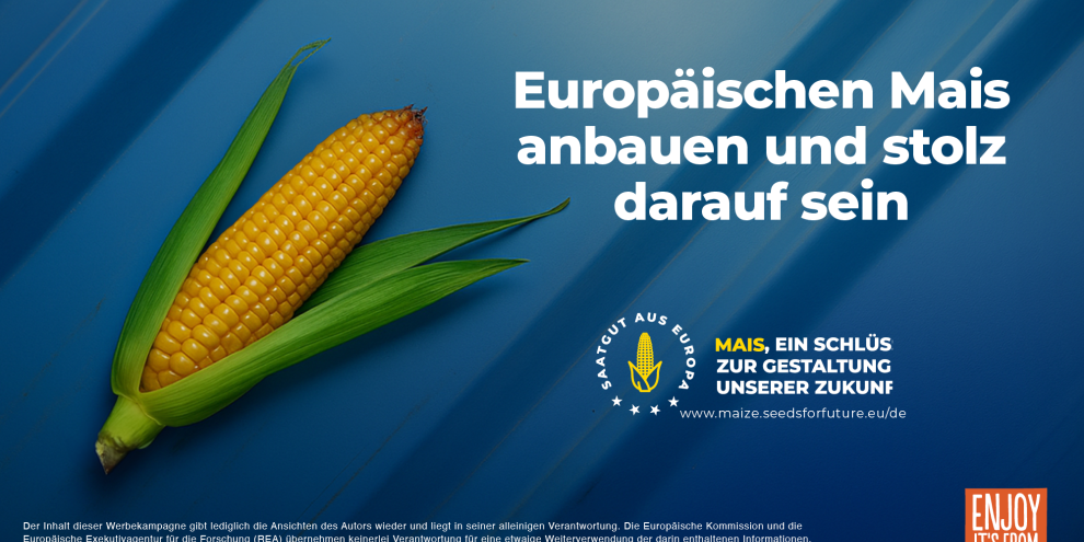 Europäischen Mais anbauen und stolz darauf sein