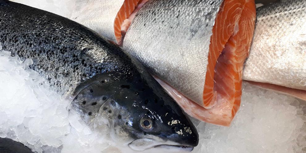 Chinas Appetit auf Fisch ist groß: Und so kommt Atlantischer Lachs jetzt auch aus der Wüste. (Symbolbild)