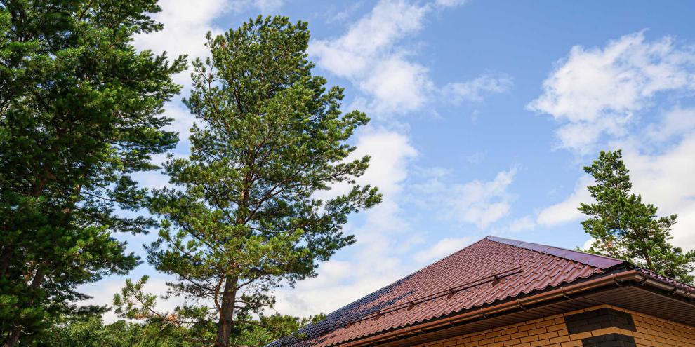 Bäume-Haus-AdobeStock_2040611419
