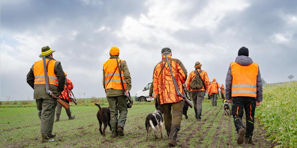 Treiber-Hundeführer-Niederwildjagd-Feld