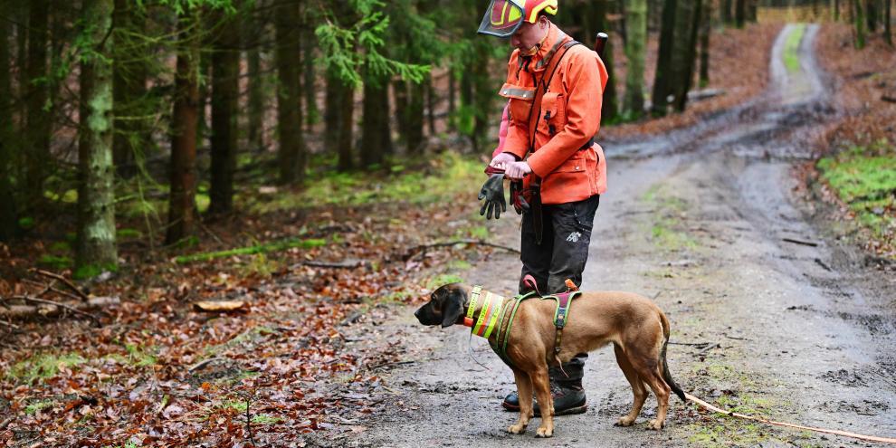 Nachsuchen sind ein hartes Geschäft. Hund und Hundeführer sollten mit funktionaler und qualitativ langlebiger Ausrüstung ausgestattet sein.