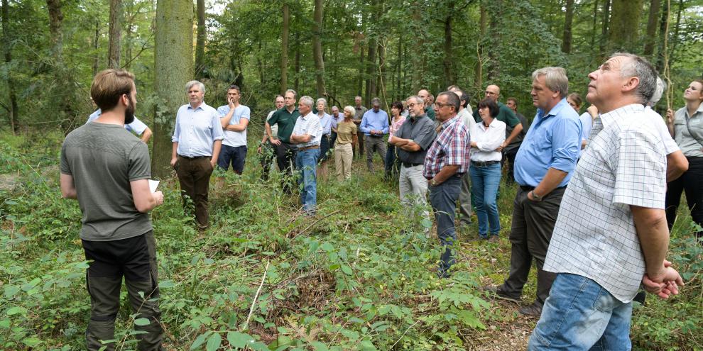 Abb. 1: Geführte Waldspaziergänge sind ein bewährtes Mittel, Menschen für die nachhaltige Waldbewirtschaftung zu sensibilisieren. Jetzt gibt es weitere Tools: Zwischen 2021 und 2026 nahmen Wissenschaftler und Praktiker in 15 Förderprojekten u. a. Nutzungskonflikte zwischen Erholungssuchenden, Forstwirtschaft und Naturschutz unter die Lupe. Aus den Vorhaben ging ein ganzes Sortiment praxistauglicher Werkzeuge für das Kommunizieren mit unterschiedlichen Zielgruppen hervor.