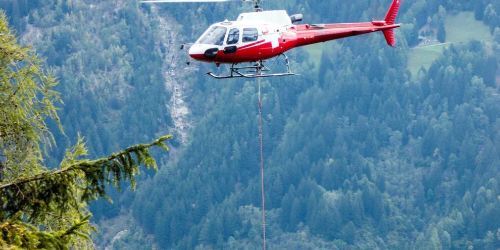 Eine Dokumentation zeigt Heli-Logging in Aktion (Symbolbild).