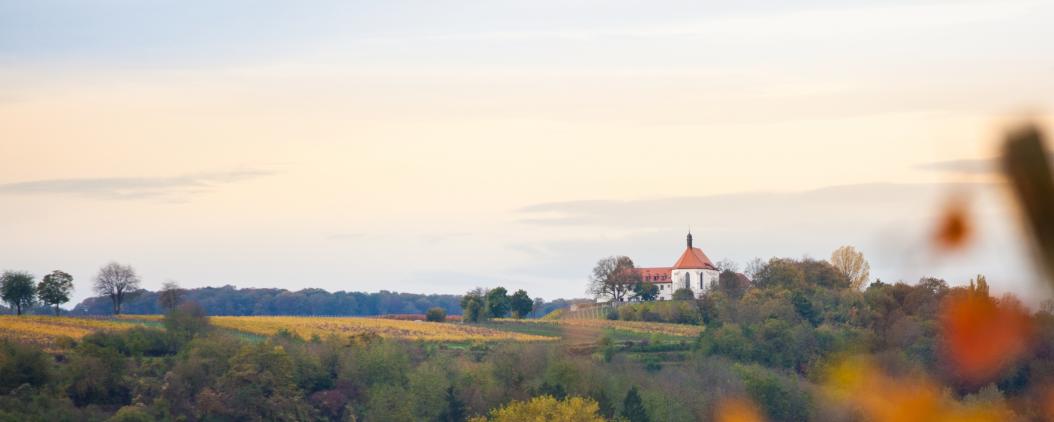 Himmel, Wälder und Felder erstrecken sich rund um ein weißes Anwesen mit braunem Dach. 