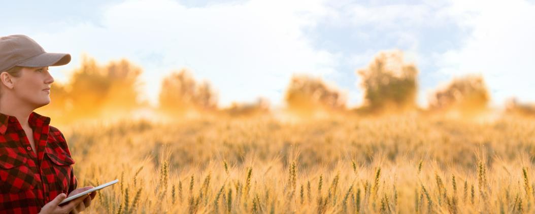 Eine Frau steht auf einem reifen Kornfeld und blickt in die Ferne. In ihrer Hand hällt sie ein Smartphone.