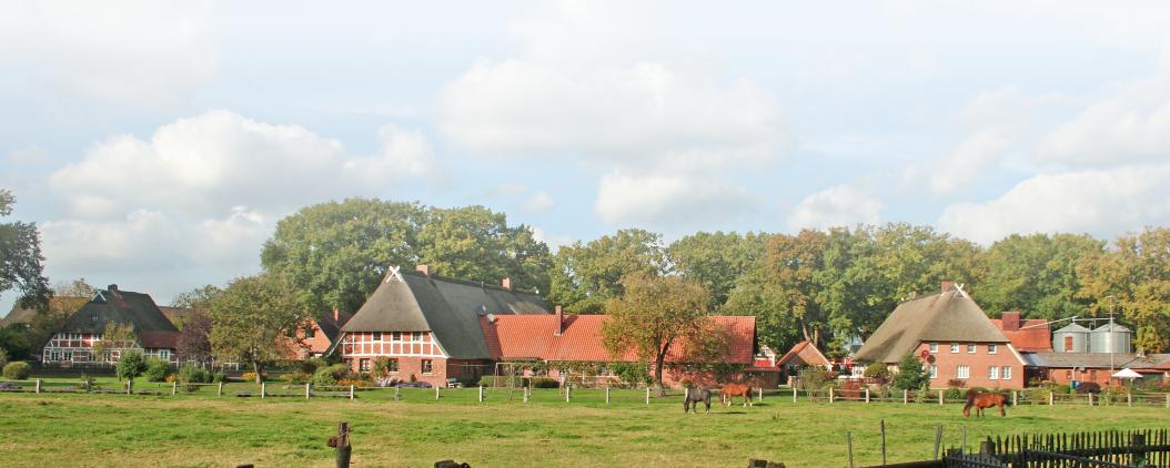 Auf einer geläufigen Weide grasen Pferde. Dahinter stehen Ställe und alte Fachwerkhäuser. Man sieht außerdem  Wald, Himmel und Bauernzäune. 