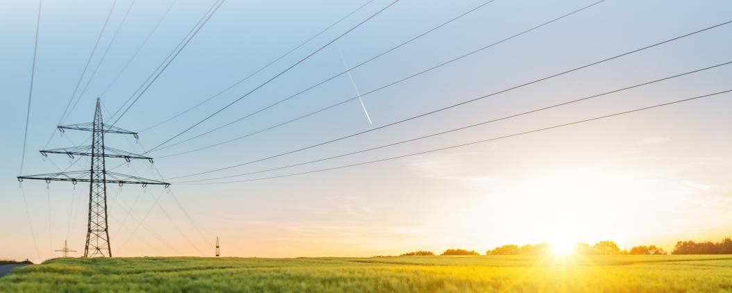 Ein Strommast steht im Sonnenaufgang auf einer weitläufigen, grünen Wiese. 