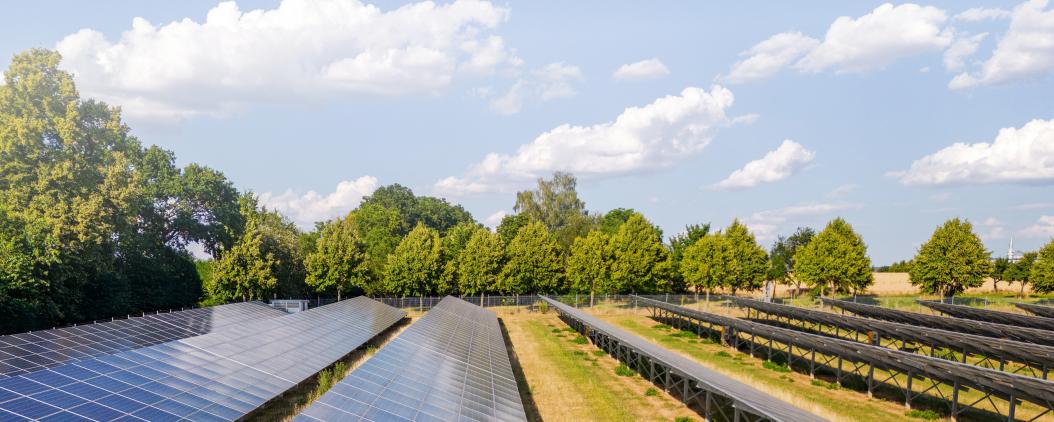 Auf einer Rasenfläche mit wolkigem Himmel und Bäumen im Hintergrund, sind Solarpanele in Reihen aufgebaut.  
