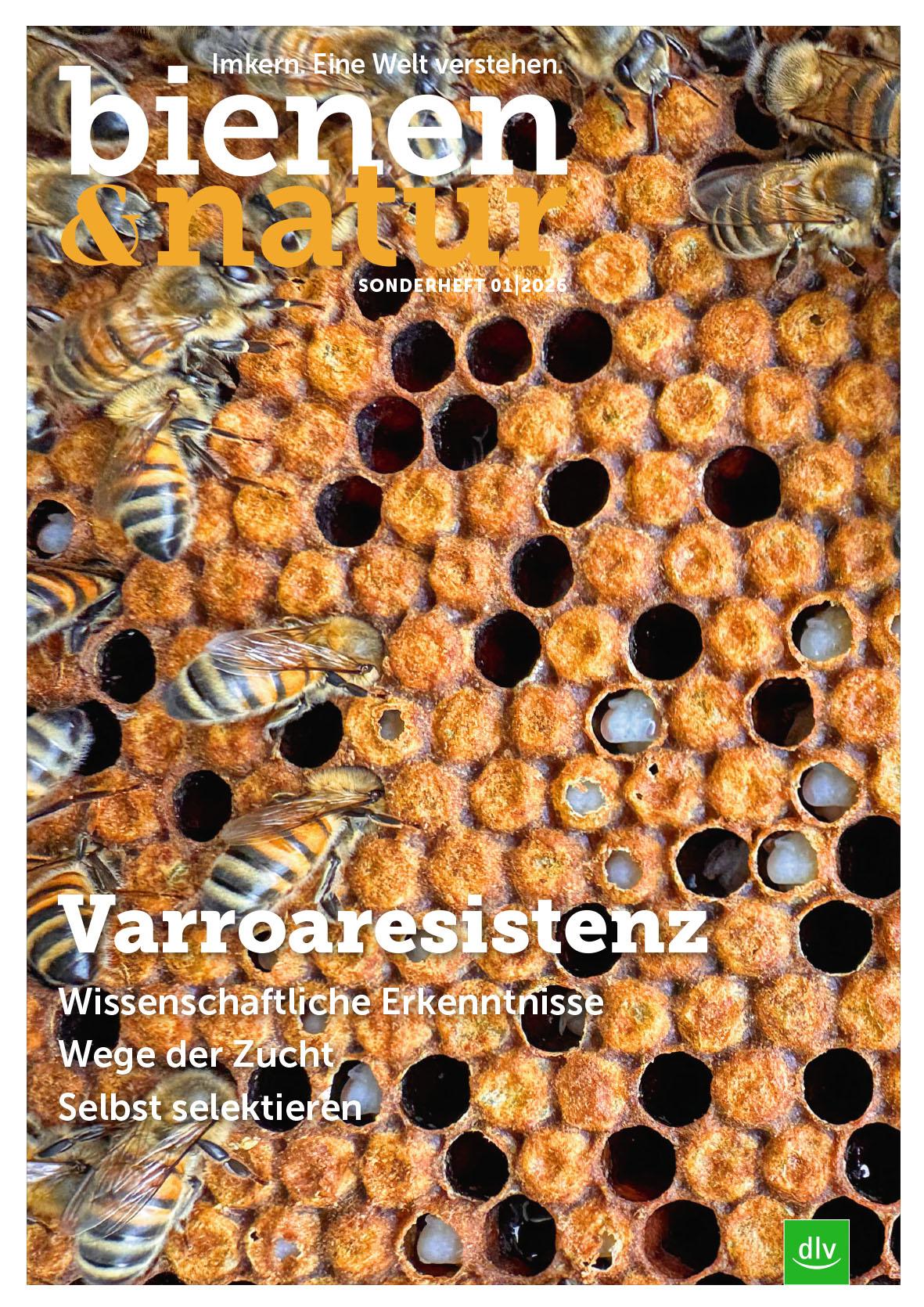 Titelbild bienen&natur Sonderheft