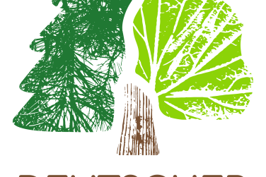 Deutscher Waldpreis Logo