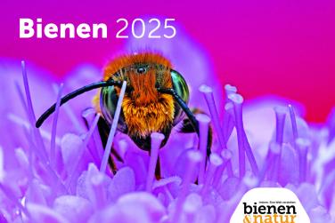 Wandkalender Bienen 2025