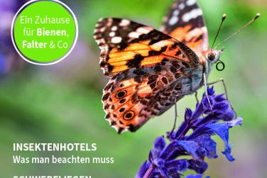 SH Ein Garten für Insekten