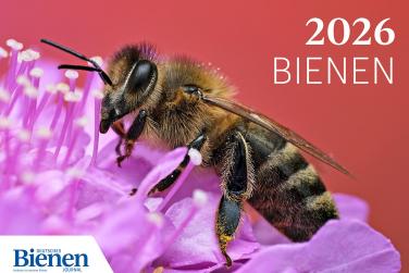 DBJ Wandkalender 2026 Cover