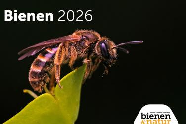 b&n Wandkalender Bienen 2026