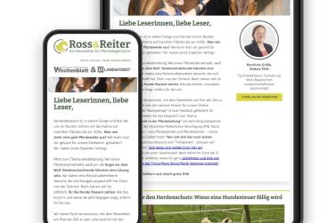 Ross&Reiter Newsletter Vorschau